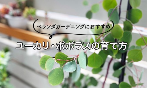 肝不好多运动有好处吗-肝不好多运动有好处吗、肝不好跑步有用吗 -肝不好首选散步运动放心医苑网